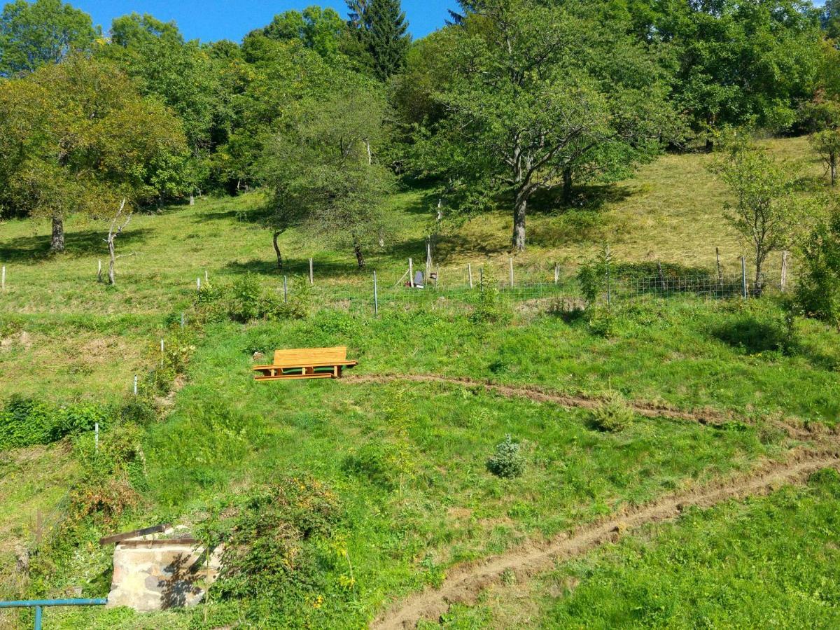 Villa Le Chamois Sondernach Esterno foto